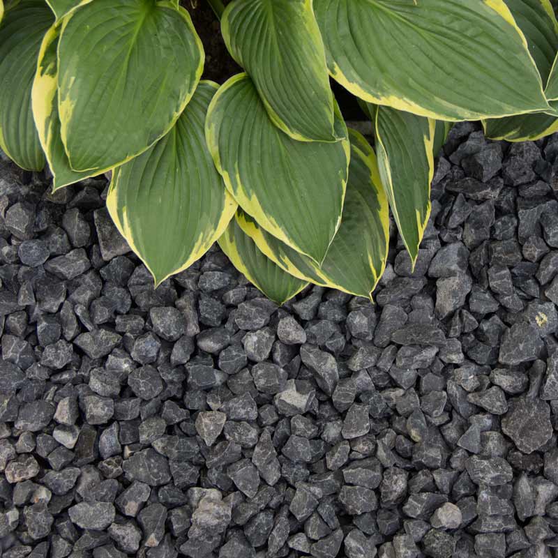 Basalt Split